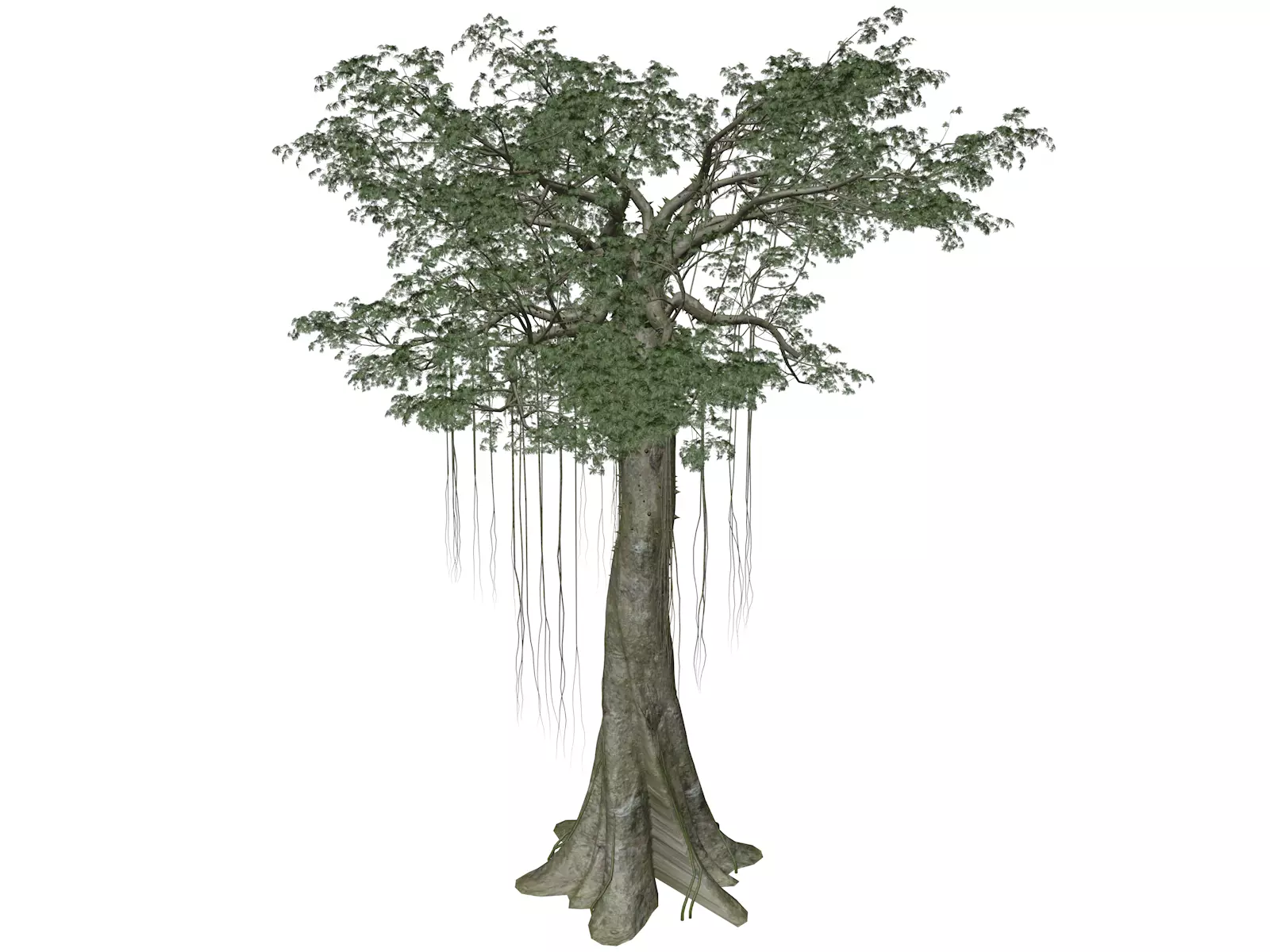 Kapok Tree - 01 - 3D model_0