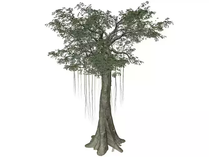 Kapok Tree - 01 - 3D model