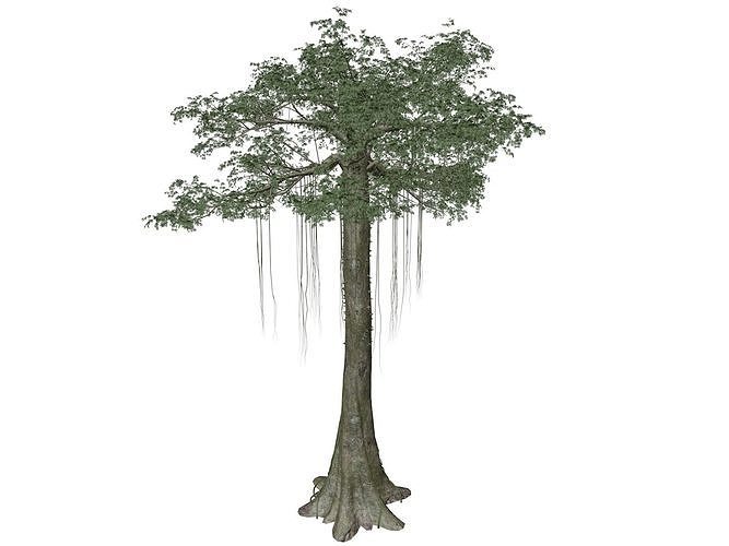 Kapok Tree - 02 - 3D model