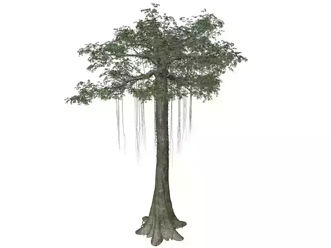Kapok Tree - 02 - 3D model