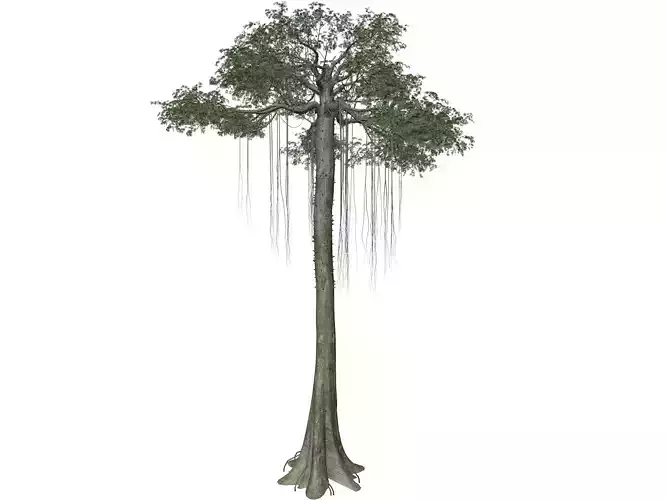Kapok Tree - 03 - 3D model