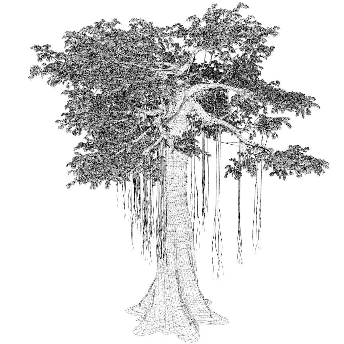 Kapok Tree - 04 - 3D model_2
