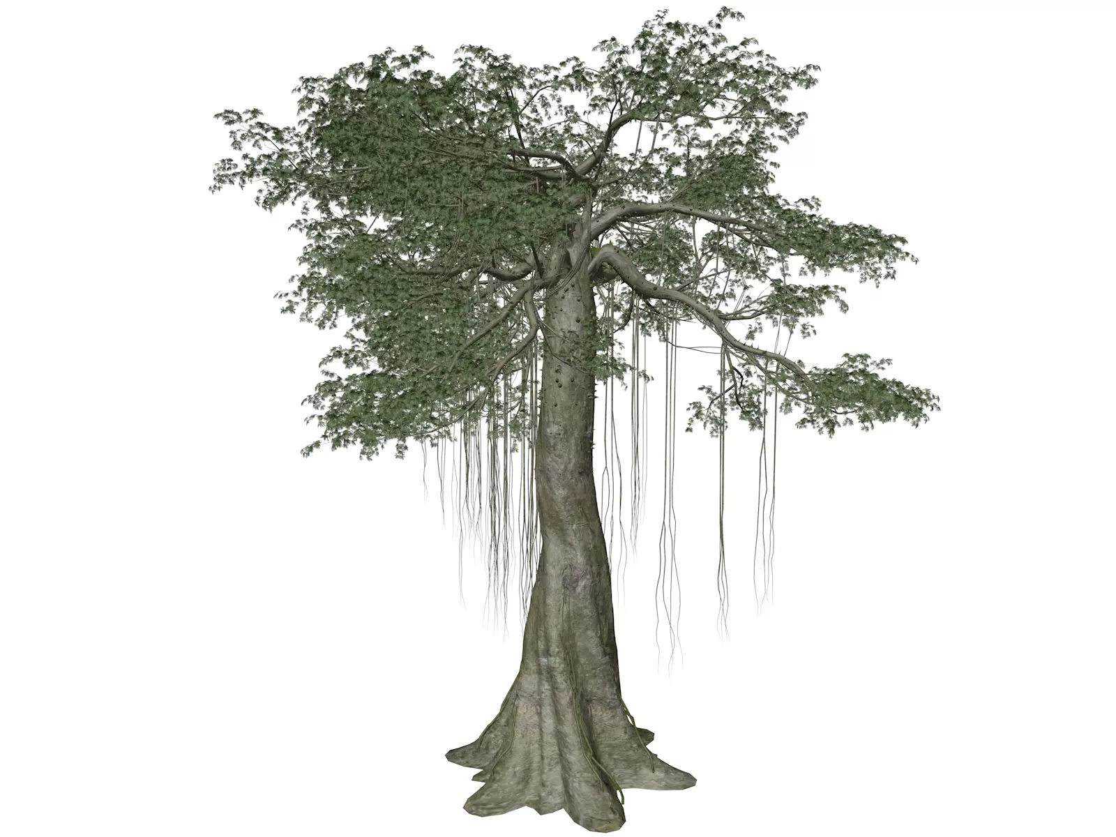 Kapok Tree - 04 - 3D model_0