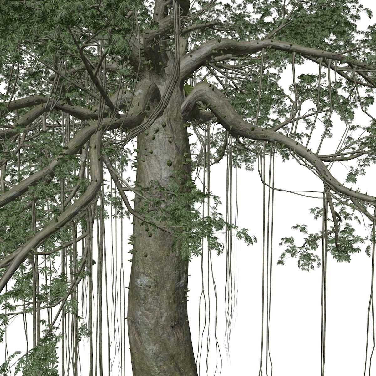 Kapok Tree - 04 - 3D model_3