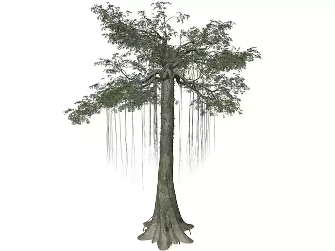 Kapok Tree - 05 - 3D model