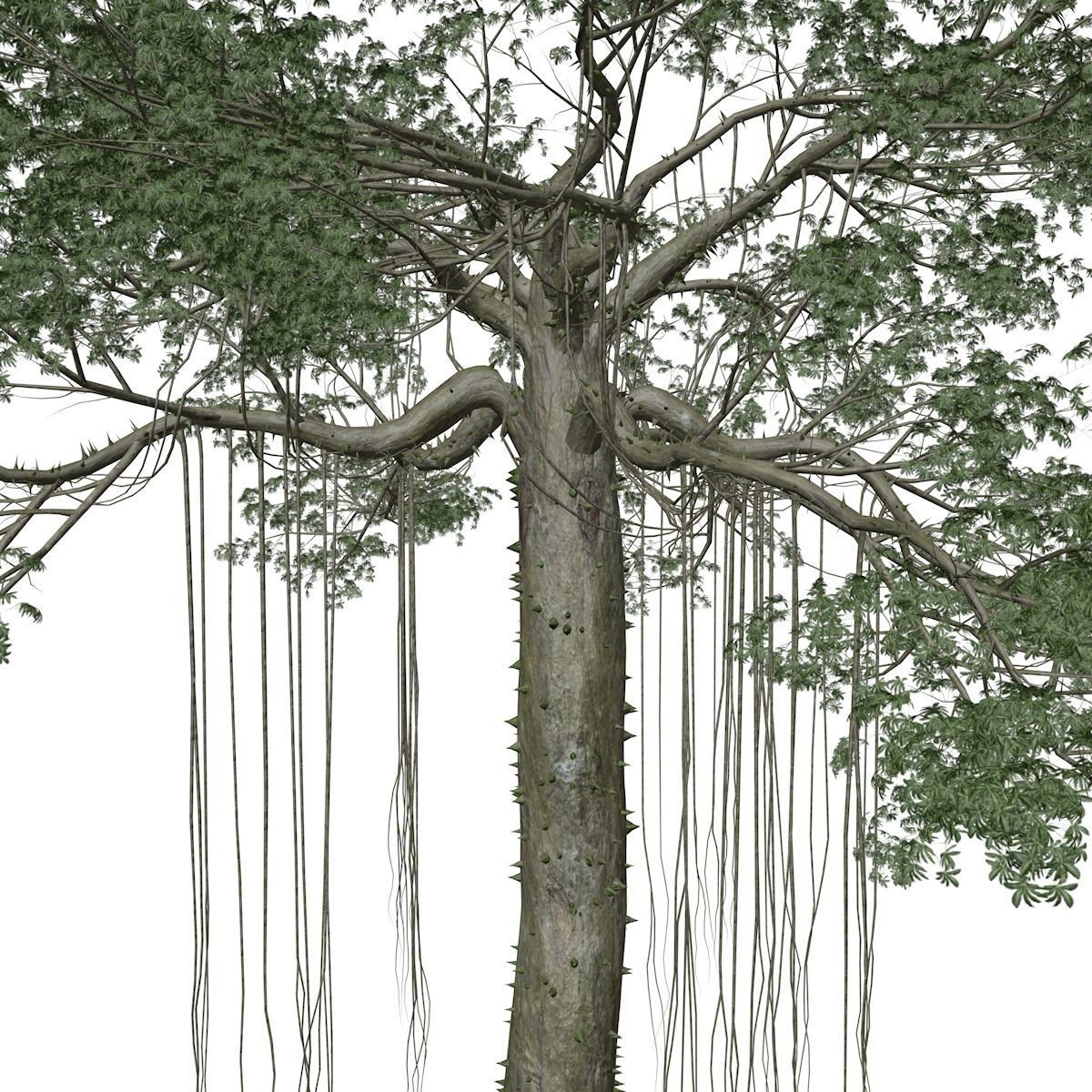 Kapok Tree - 06 - 3D model_3