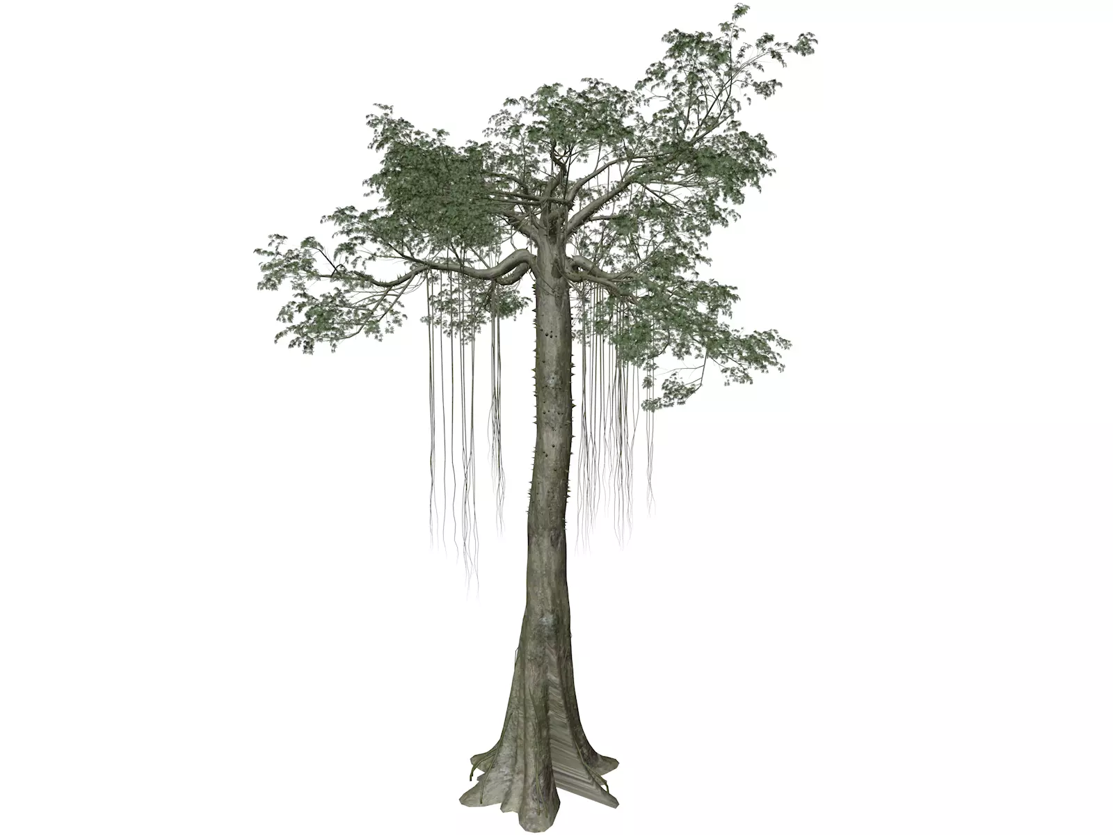 Kapok Tree - 06 - 3D model_0
