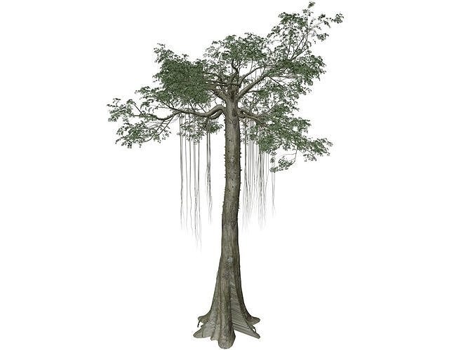 Kapok Tree - 06 - 3D model