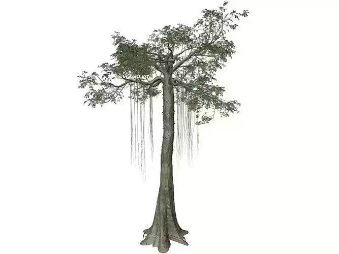 Kapok Tree - 06 - 3D model