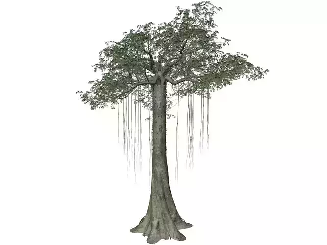 Kapok Tree - 07 - 3D model