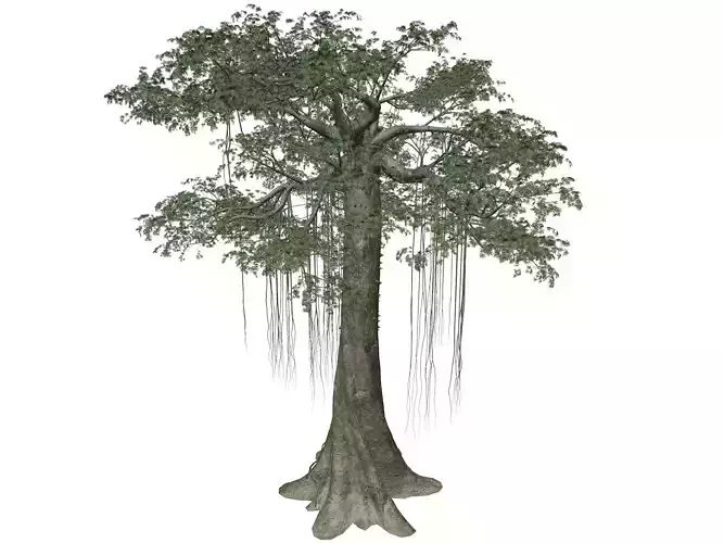 Kapok Tree - 08 - 3D model