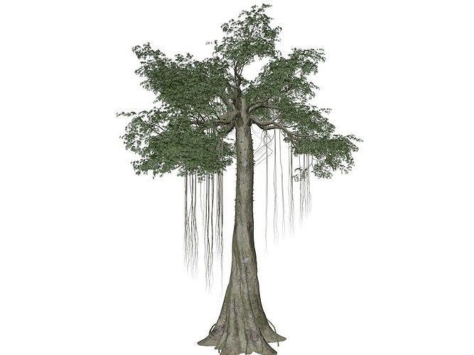 Kapok Tree - 10 - 3D model