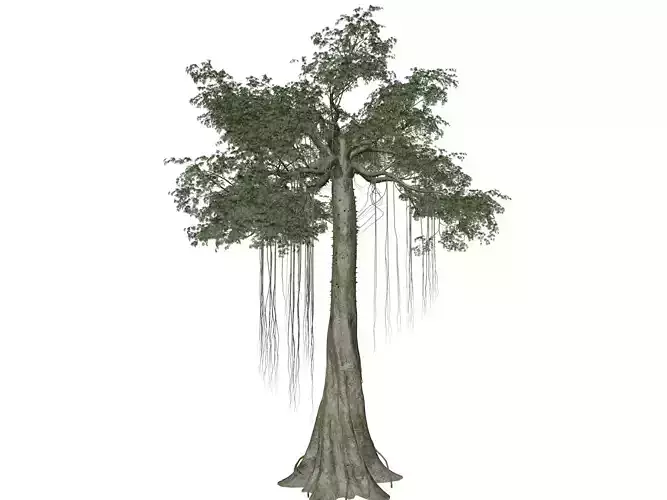 Kapok Tree - 10 - 3D model