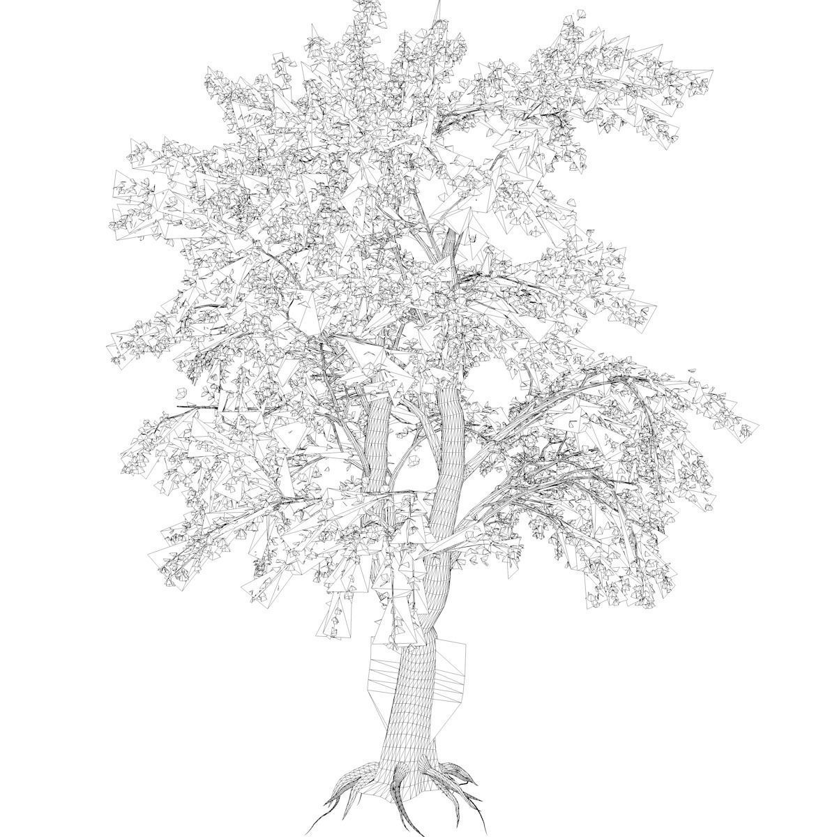 Katsura Tree - 02 - 3D model_2