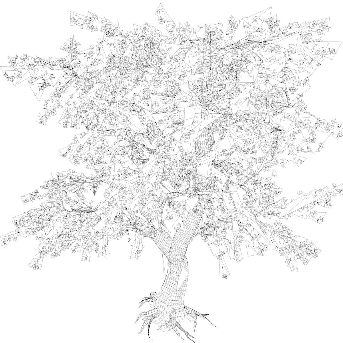 Katsura Tree - 03 - 3D model_2