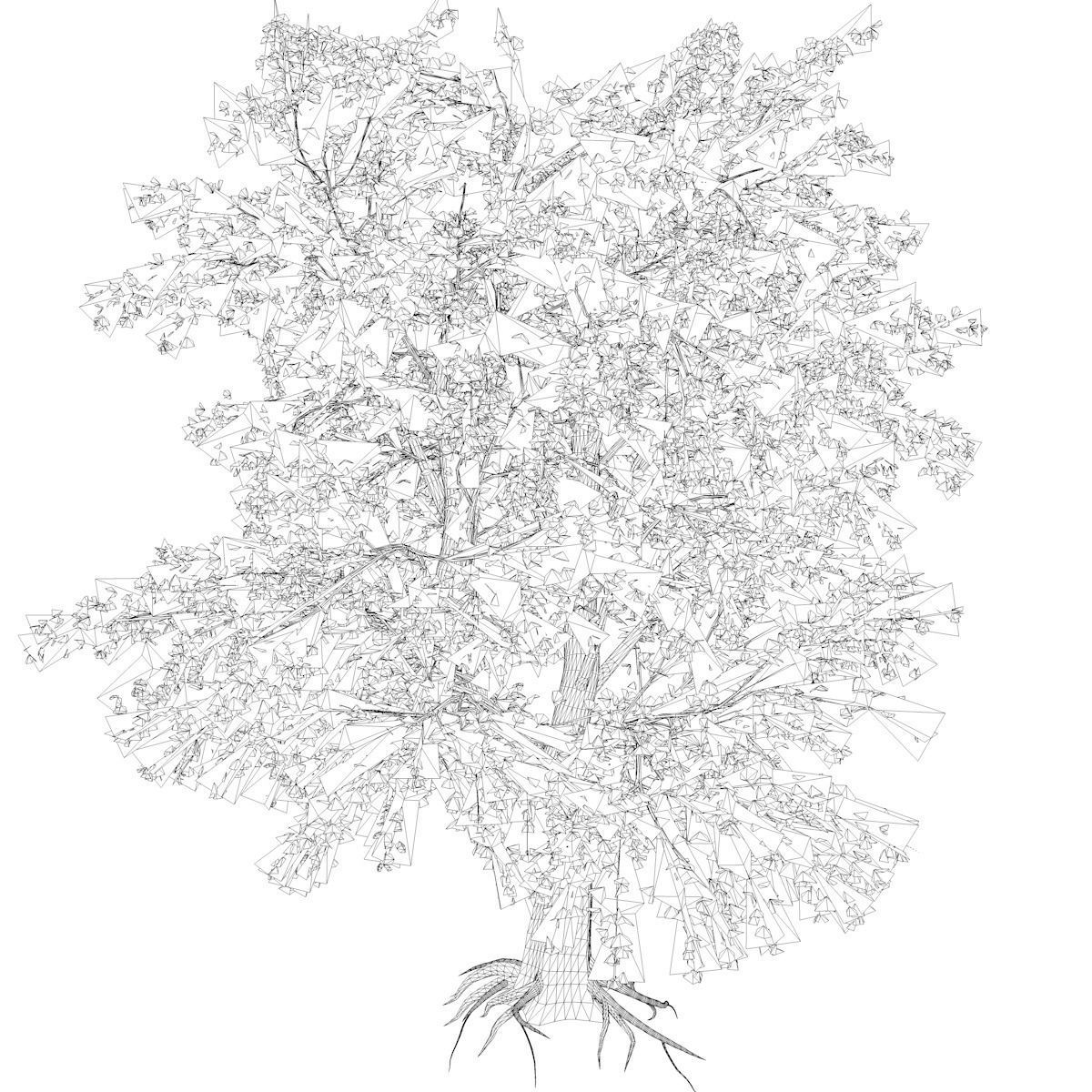 Katsura Tree - 04 - 3D model_2