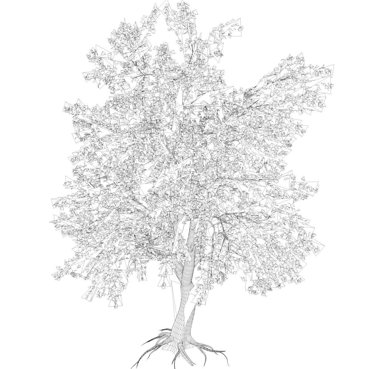 Katsura Tree - 06 - 3D model_2