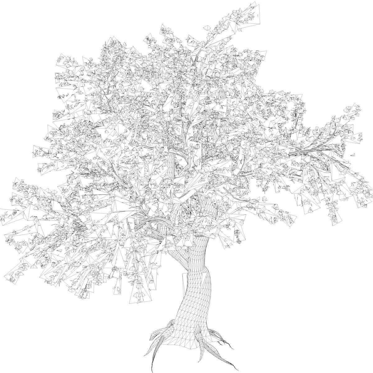 Katsura Tree - 10 - 3D model_2