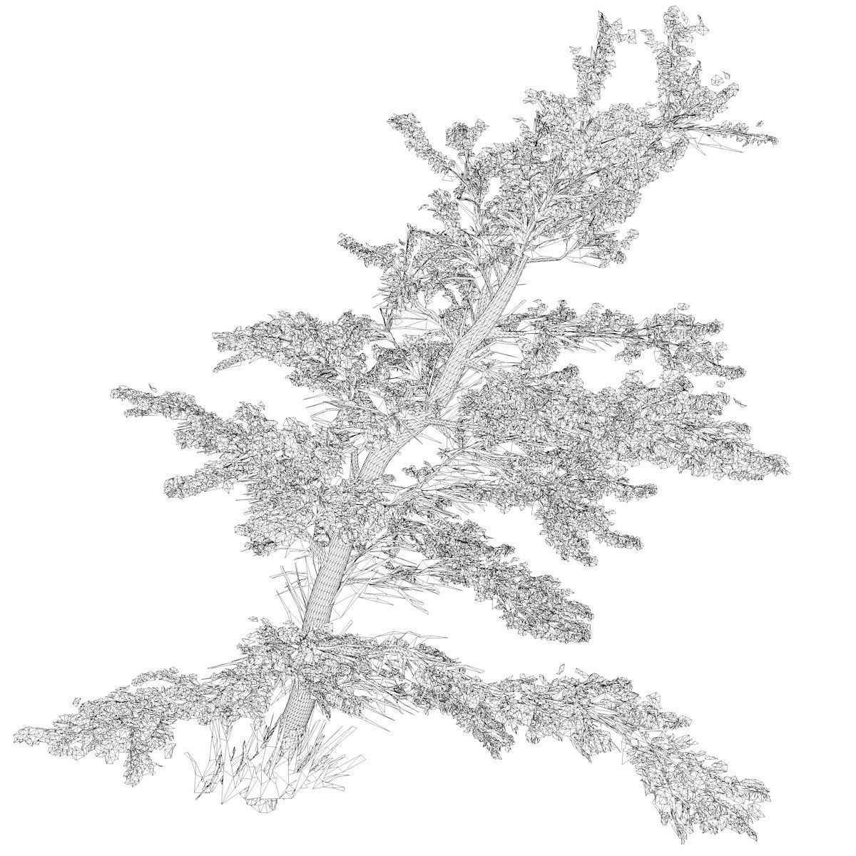 Plitvice Maple Tree - 03 - 3D model_2