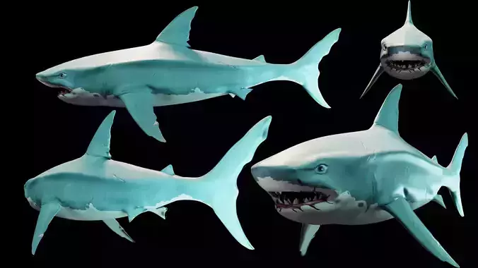 Sea Of Thieves Shark 3d model
