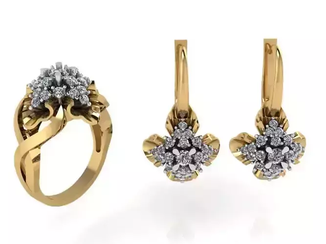 Flower Twisted Ring With Leverback Earring 2437 3D print model