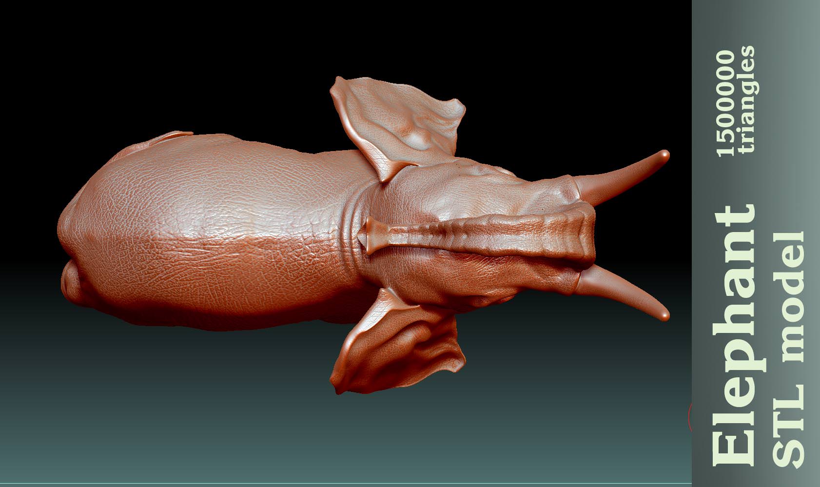 Elephant stl 3D print model_2