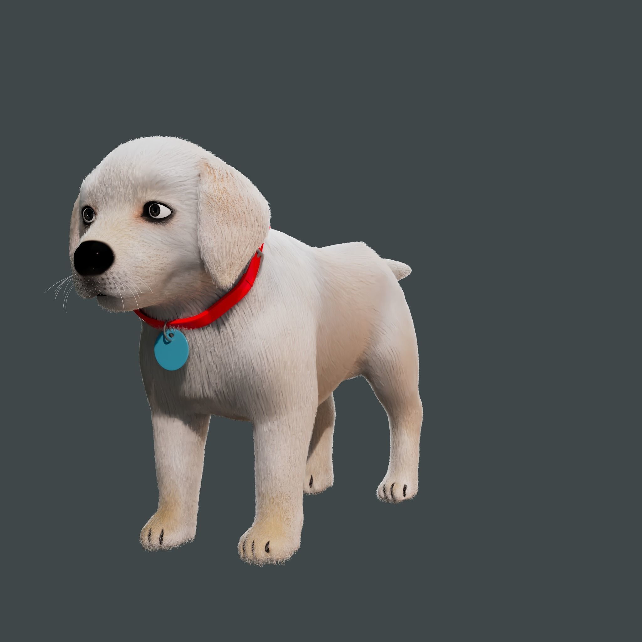 Cartoon Girl Rigged  With Puppy 3D Model Collection_13
