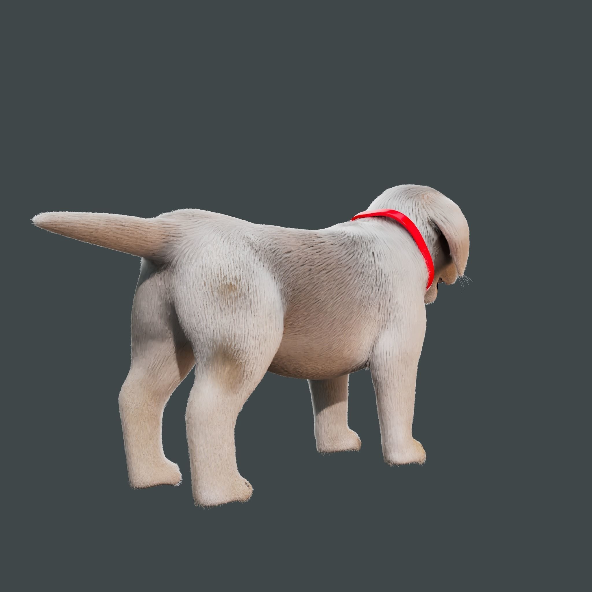 Cartoon Girl Rigged  With Puppy 3D Model Collection_11