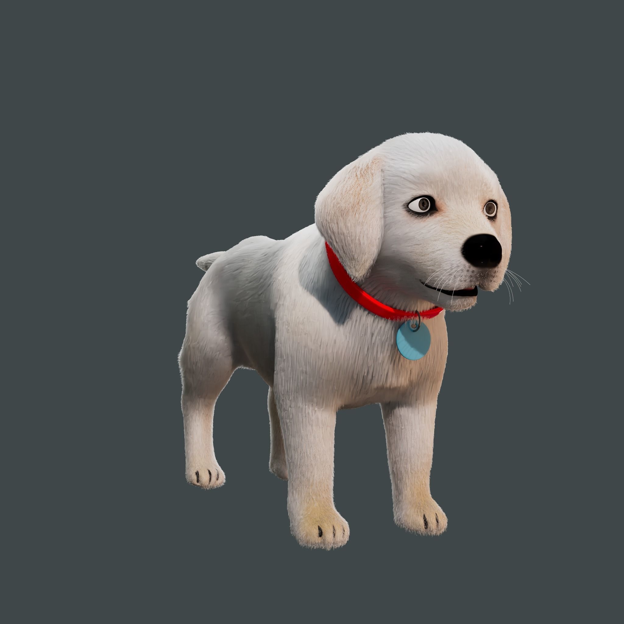 Cartoon Girl Rigged  With Puppy 3D Model Collection_8