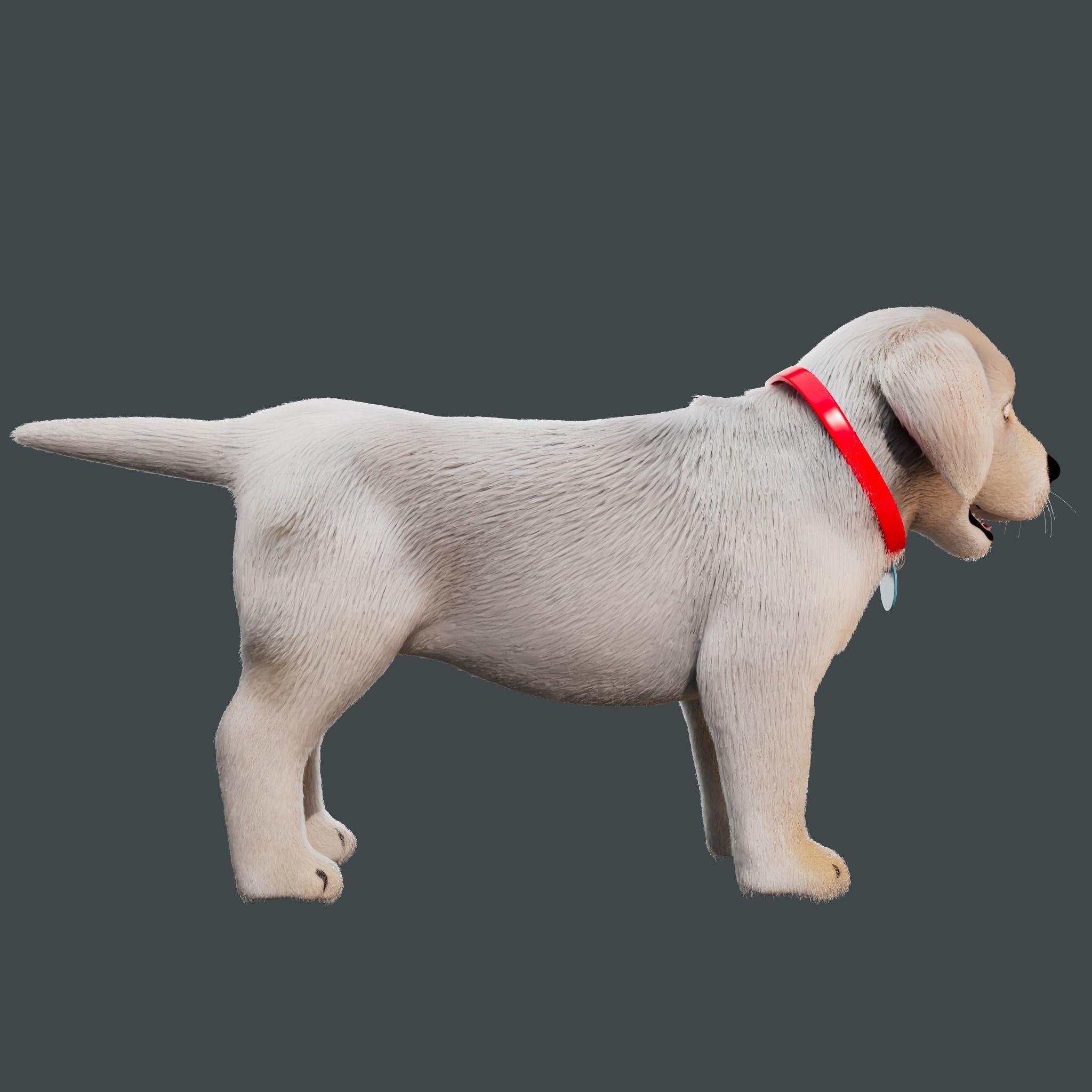 Cartoon Girl Rigged  With Puppy 3D Model Collection_14