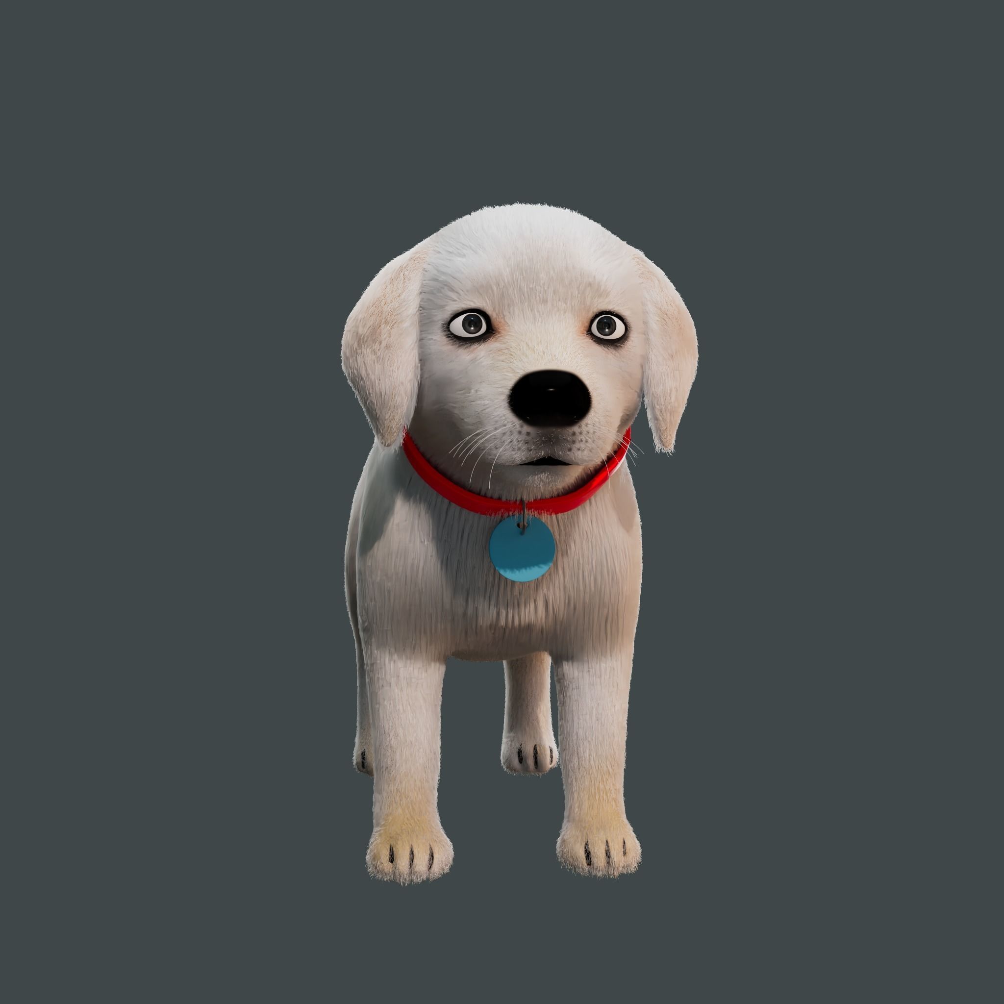 Cartoon Girl Rigged  With Puppy 3D Model Collection_7