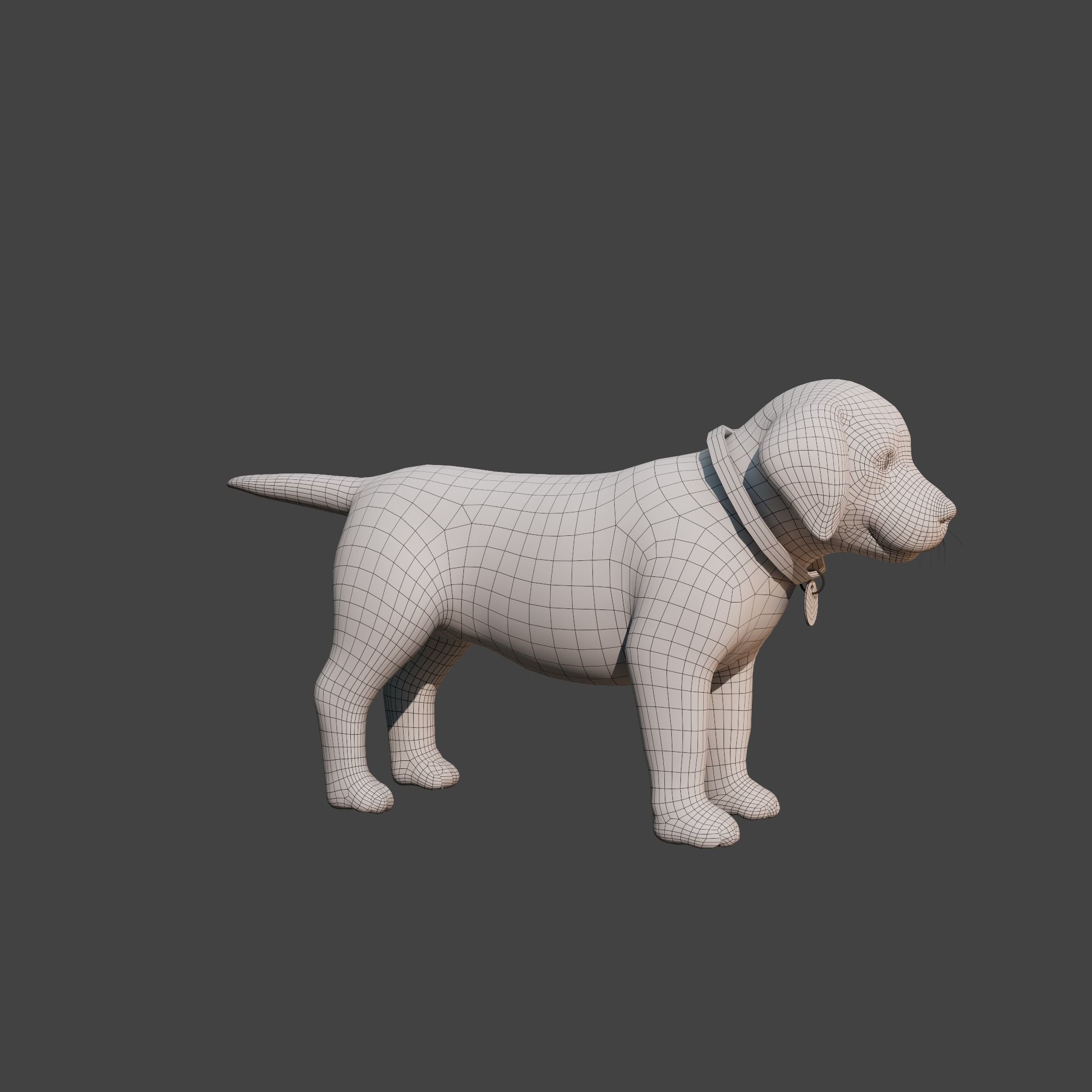 Cartoon Girl Rigged  With Puppy 3D Model Collection_18