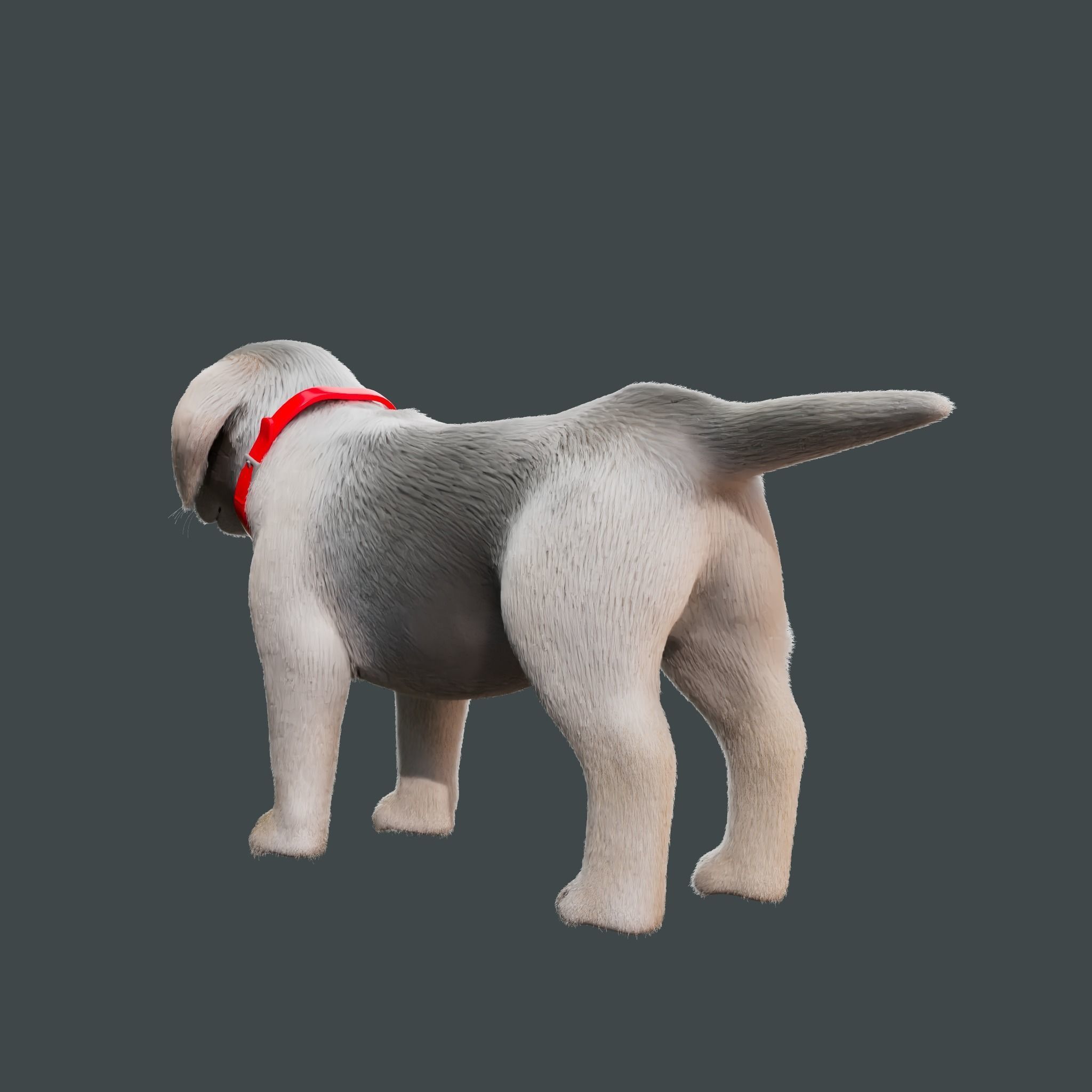 Cartoon Girl Rigged  With Puppy 3D Model Collection_10