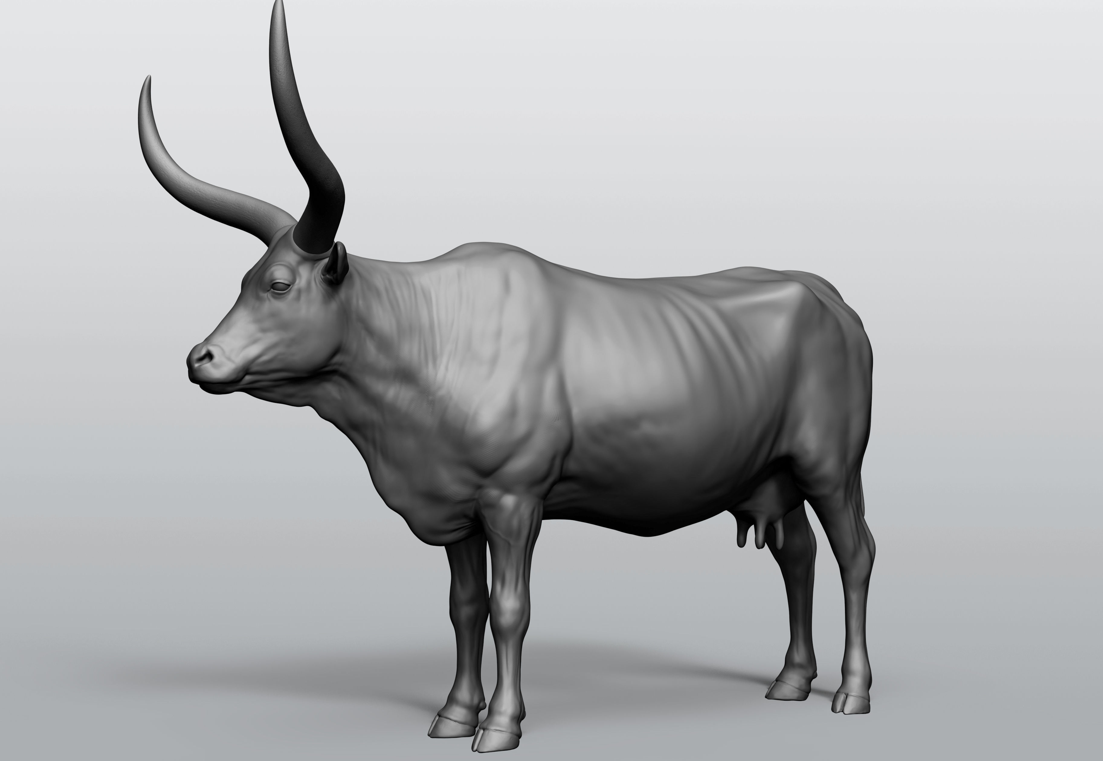 Domestic animal collection 5 animals 3D model_21