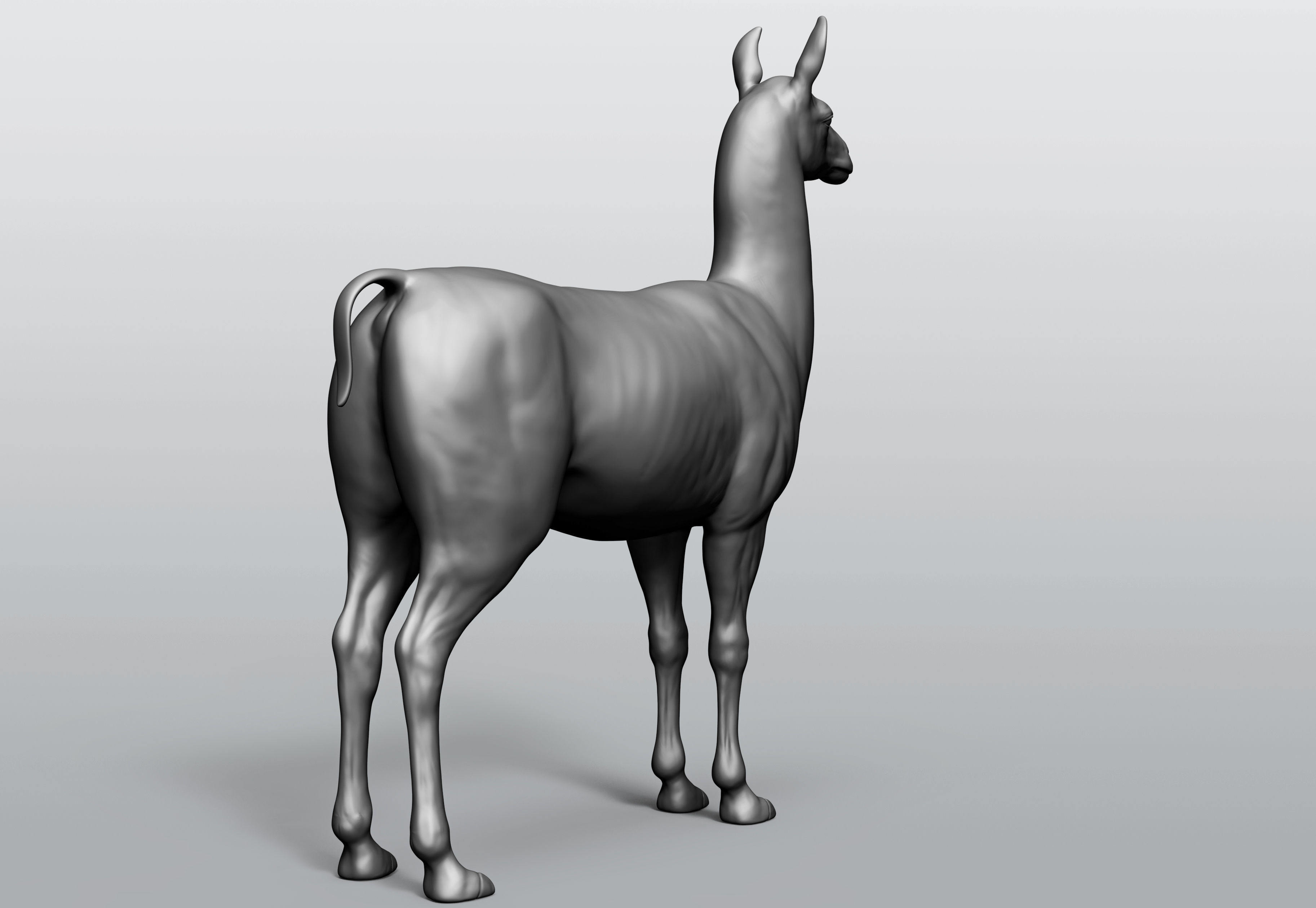 Domestic animal collection 5 animals 3D model_44
