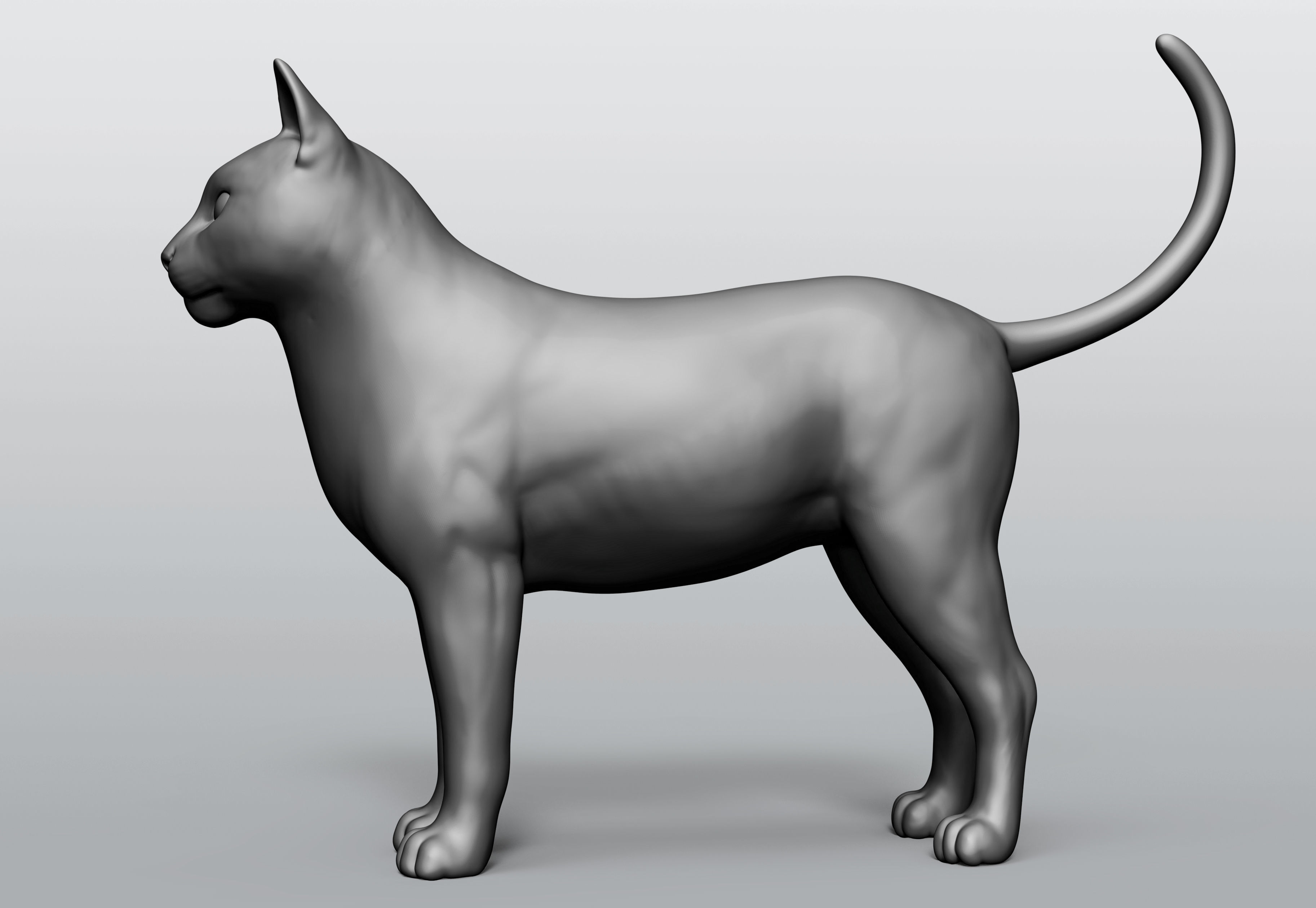 Domestic animal collection 5 animals 3D model_56