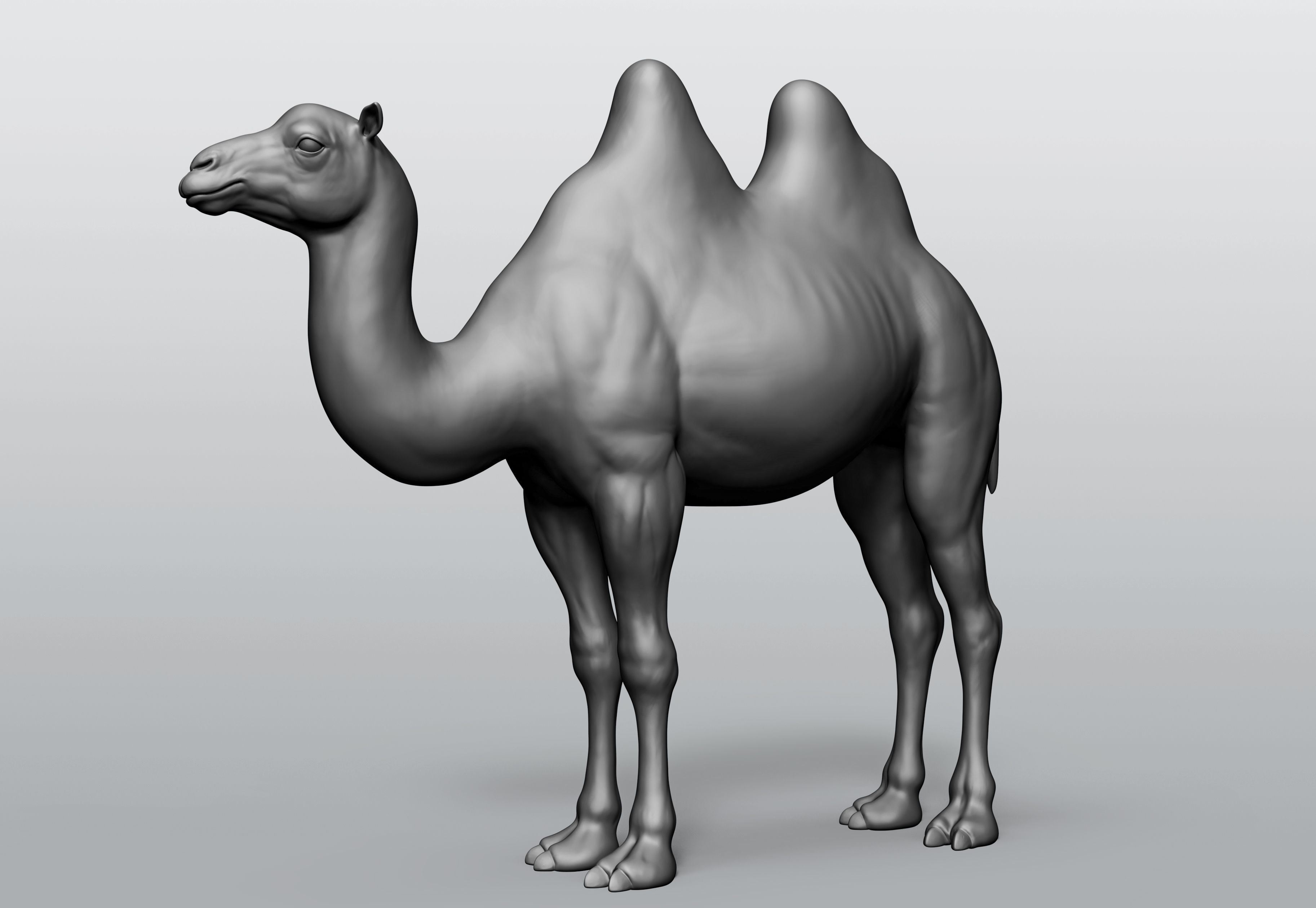 Domestic animal collection 5 animals 3D model_5