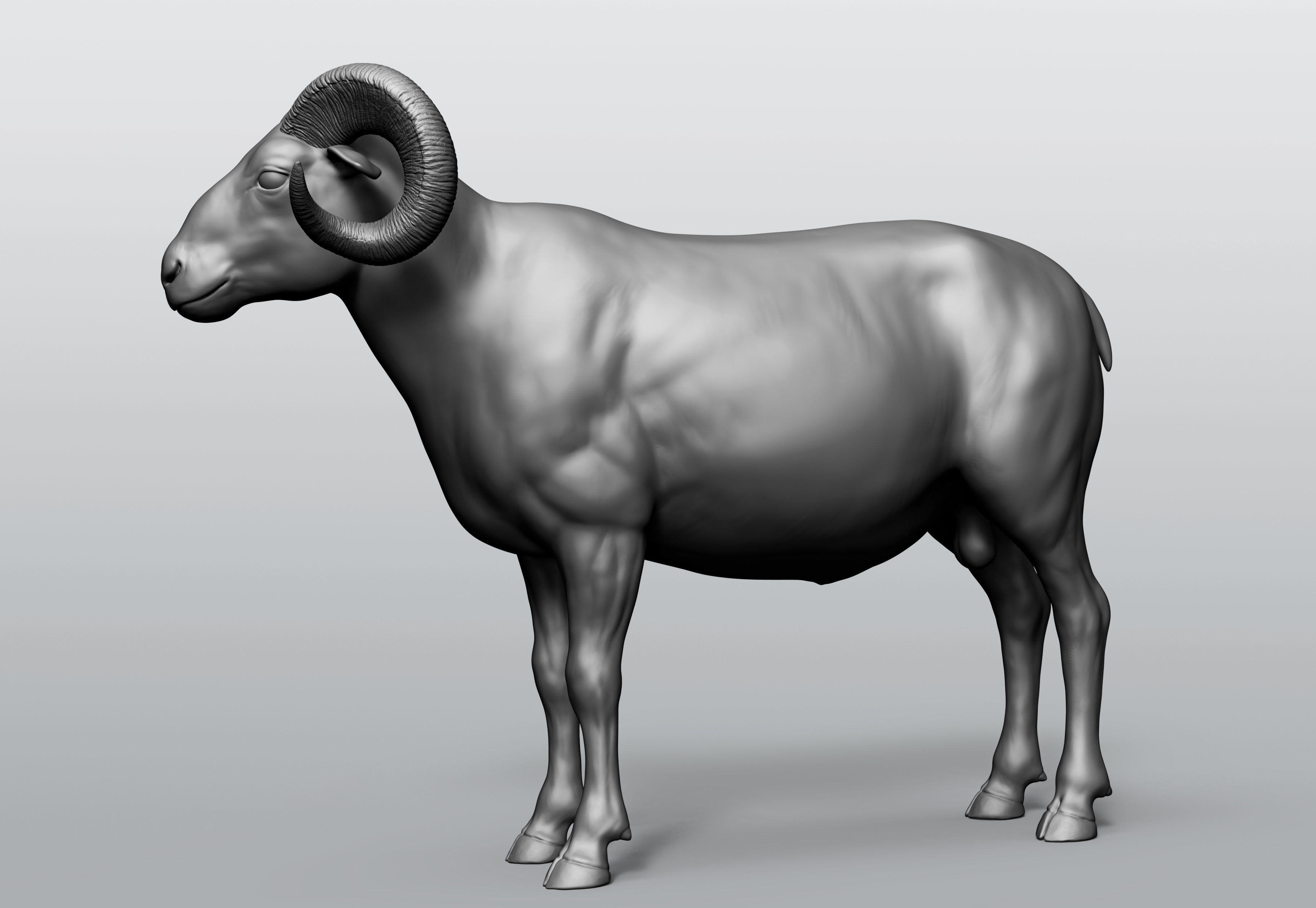 Domestic animal collection 5 animals 3D model_31