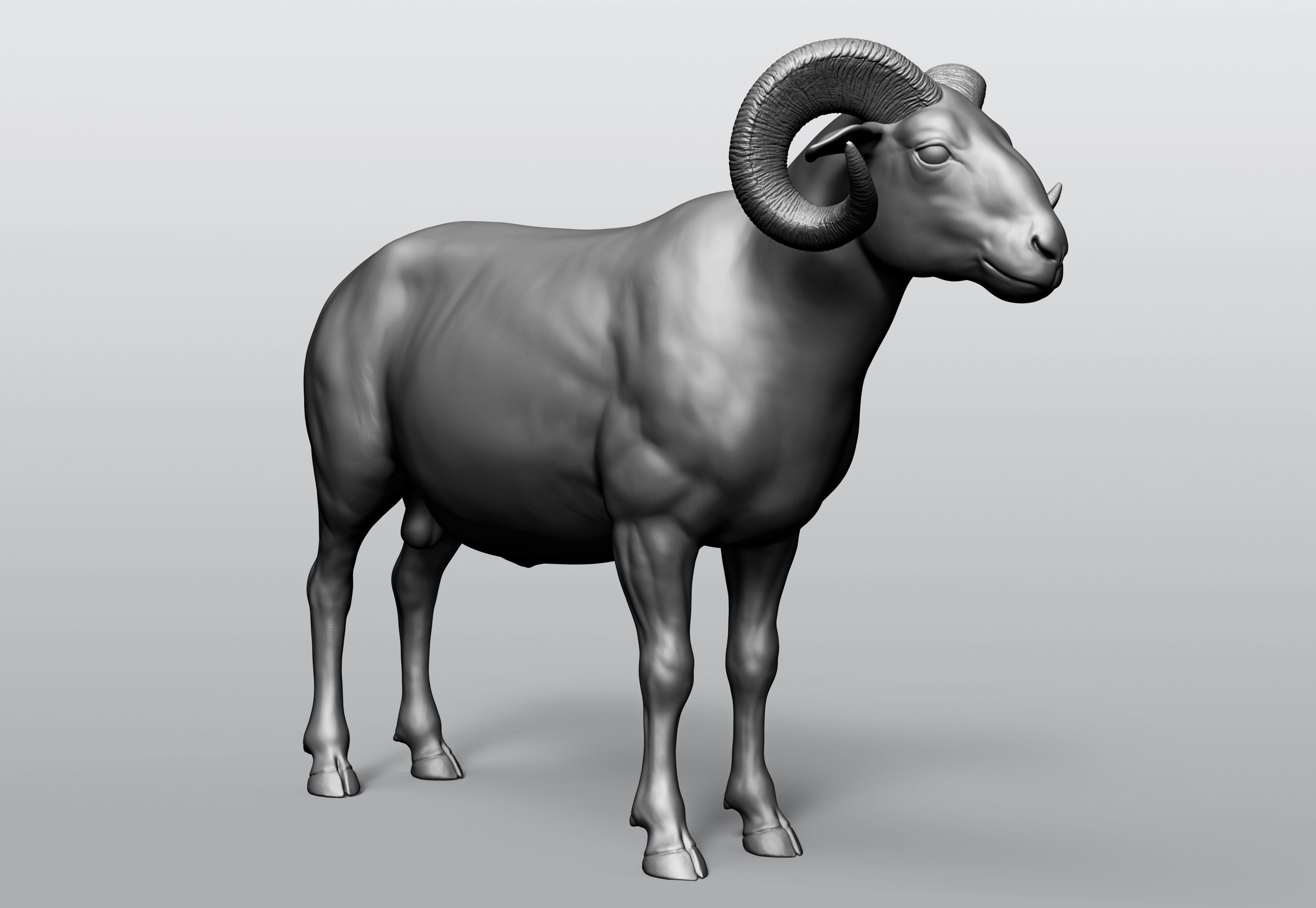 Domestic animal collection 5 animals 3D model_33