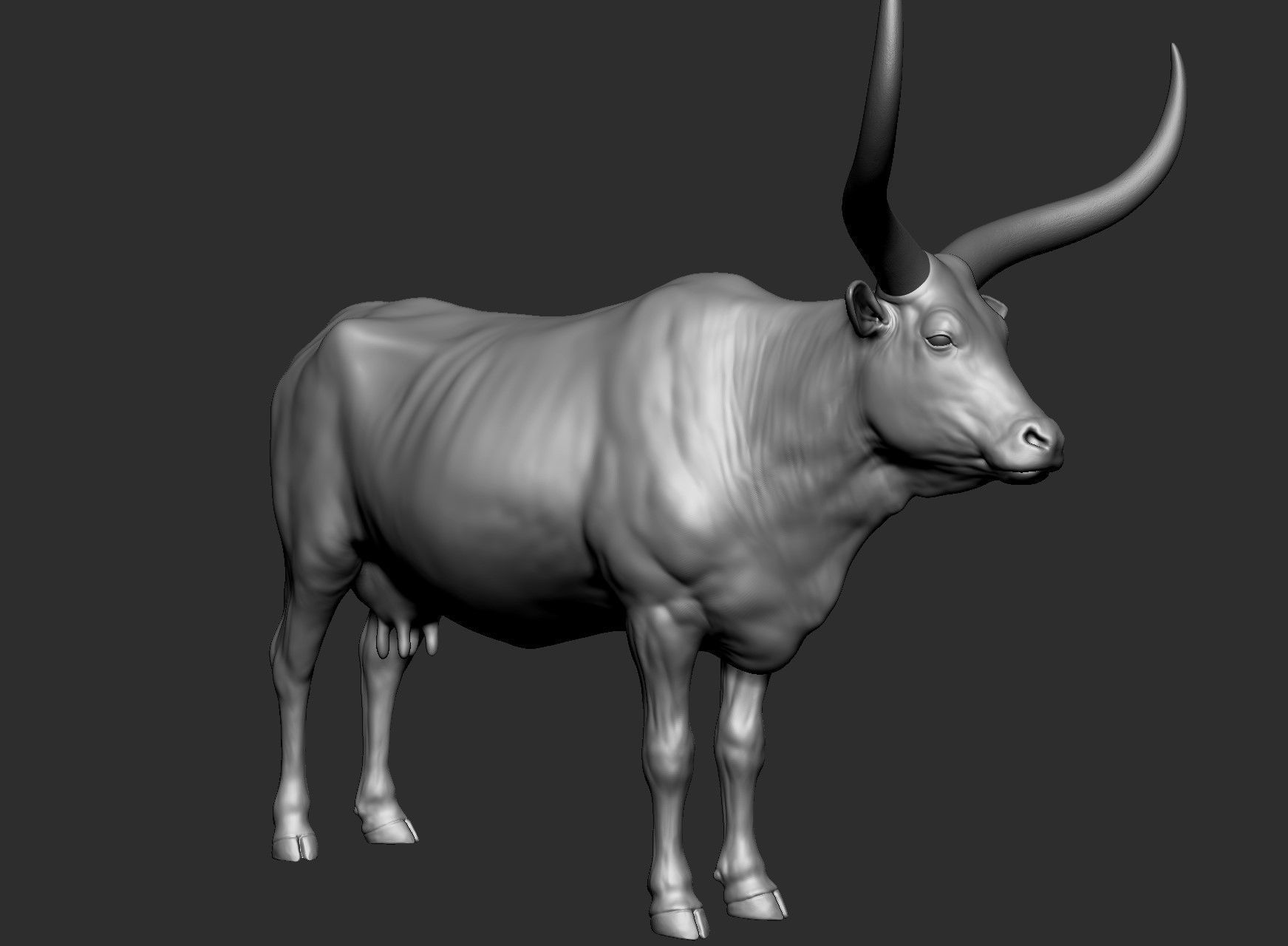 Domestic animal collection 5 animals 3D model_26