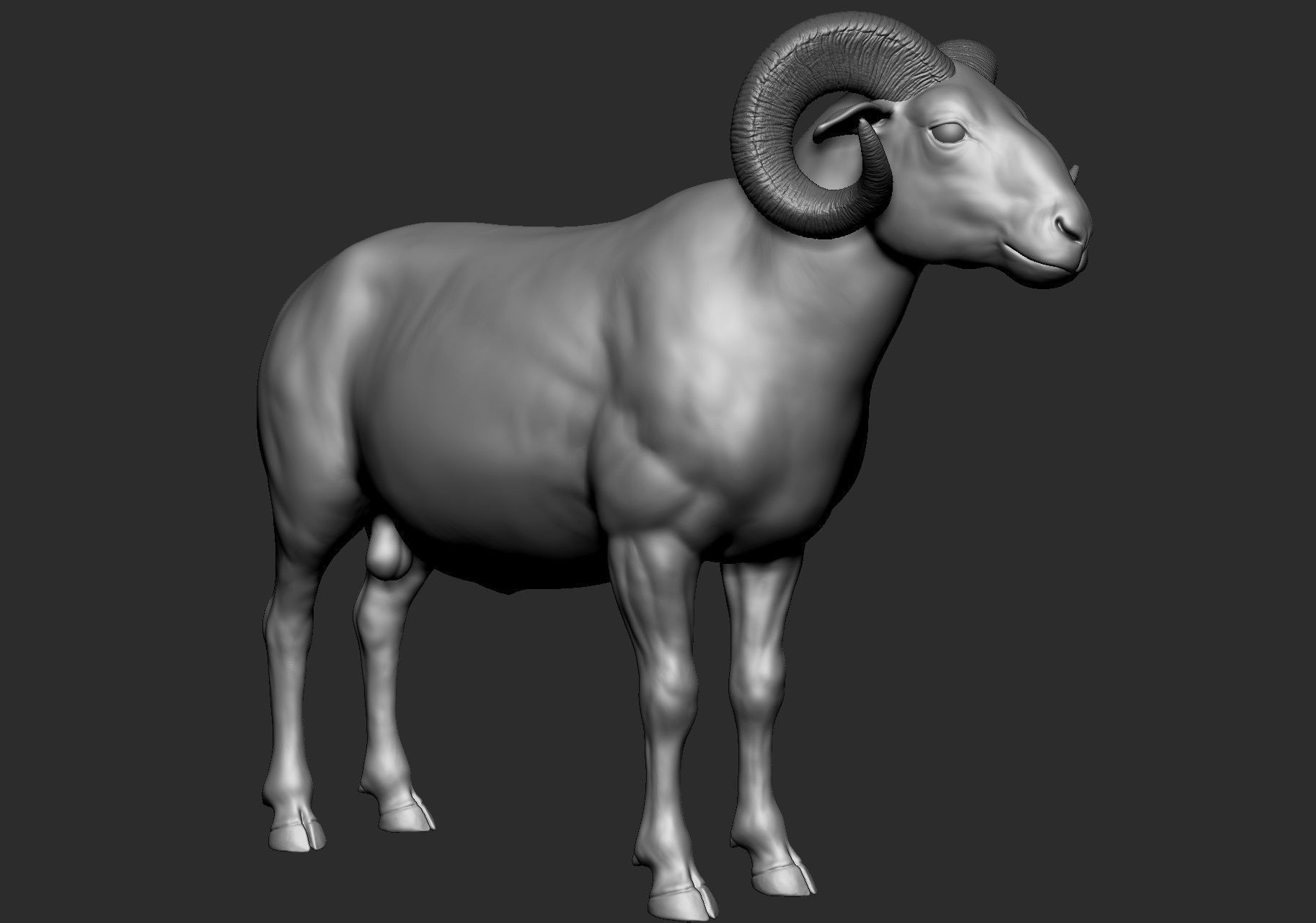 Domestic animal collection 5 animals 3D model_36