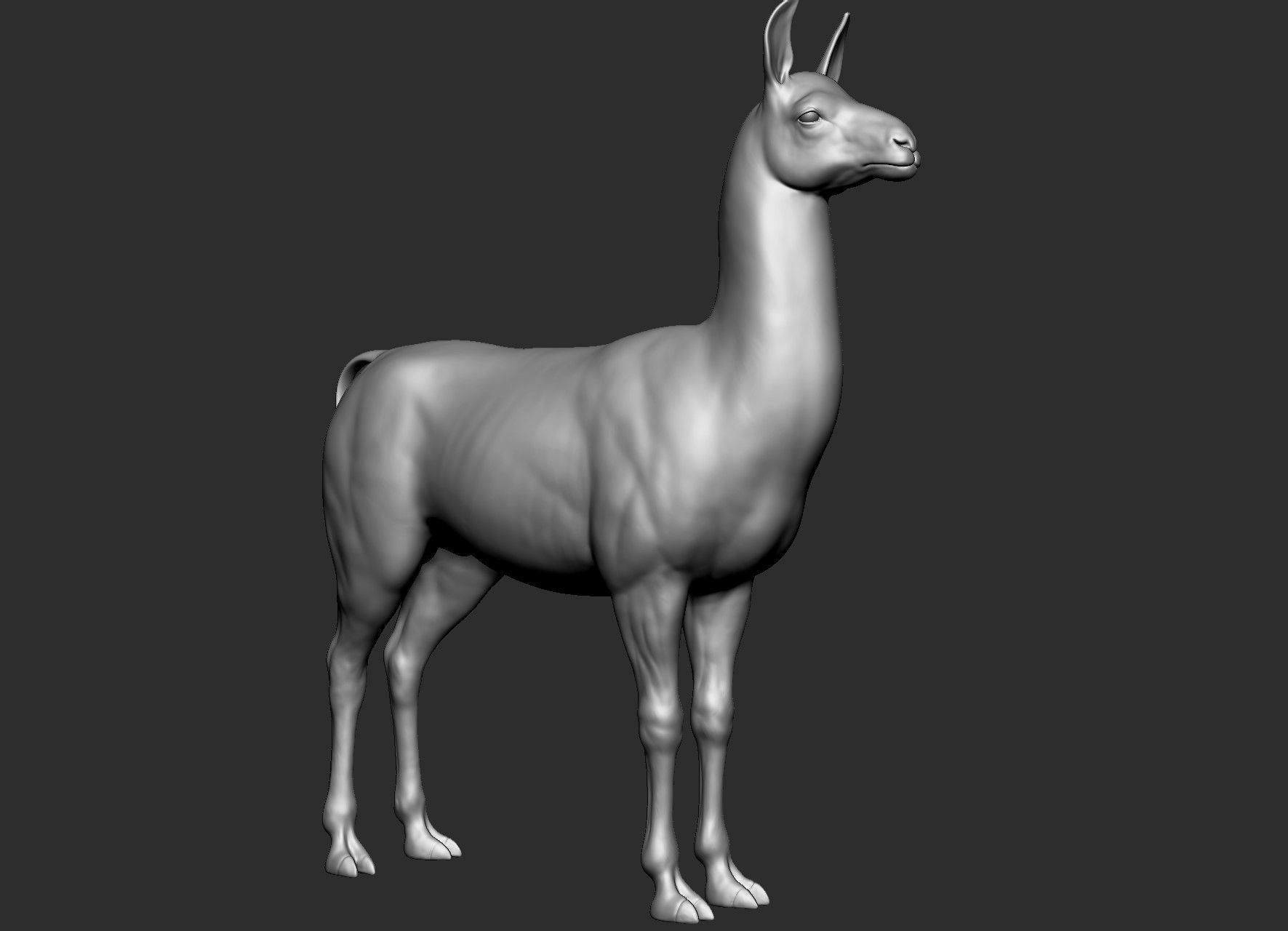 Domestic animal collection 5 animals 3D model_55