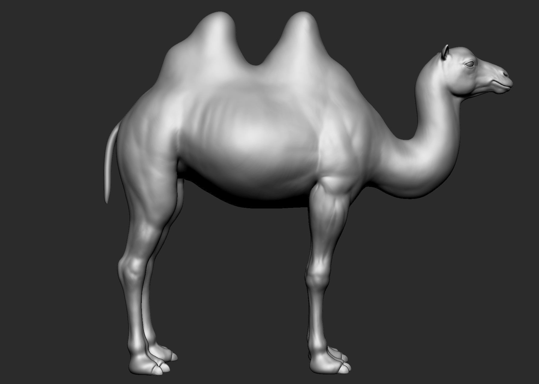 Domestic animal collection 5 animals 3D model_9