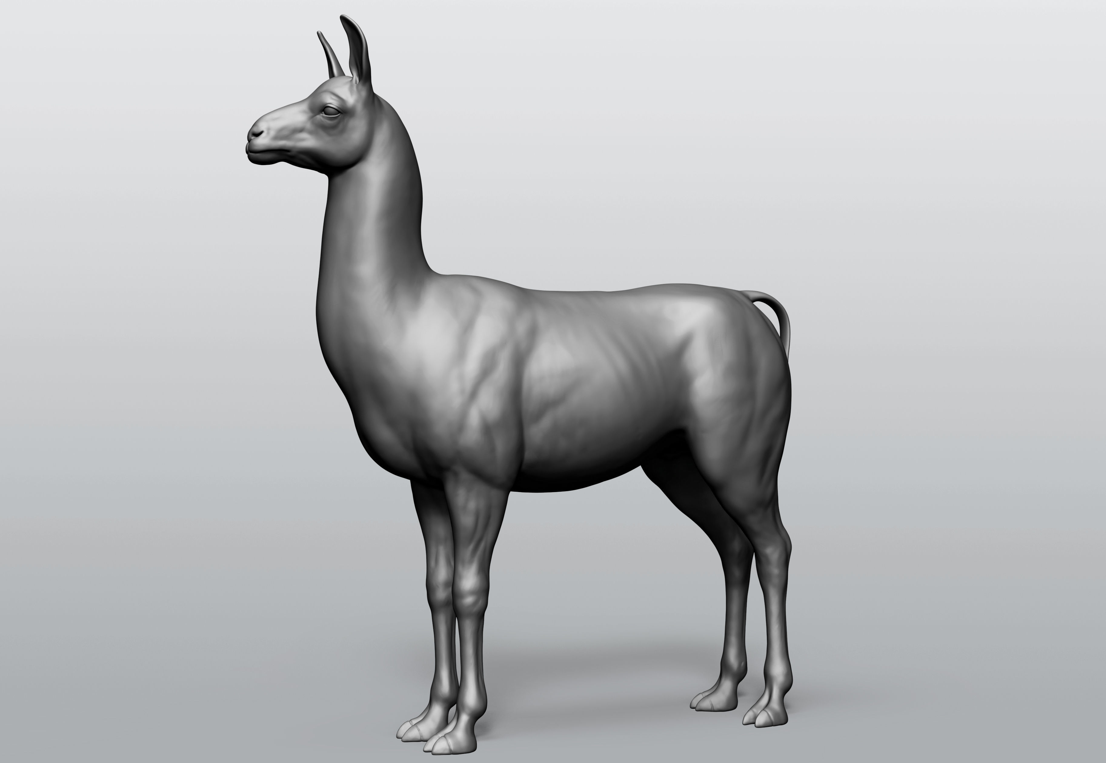 Domestic animal collection 5 animals 3D model_45