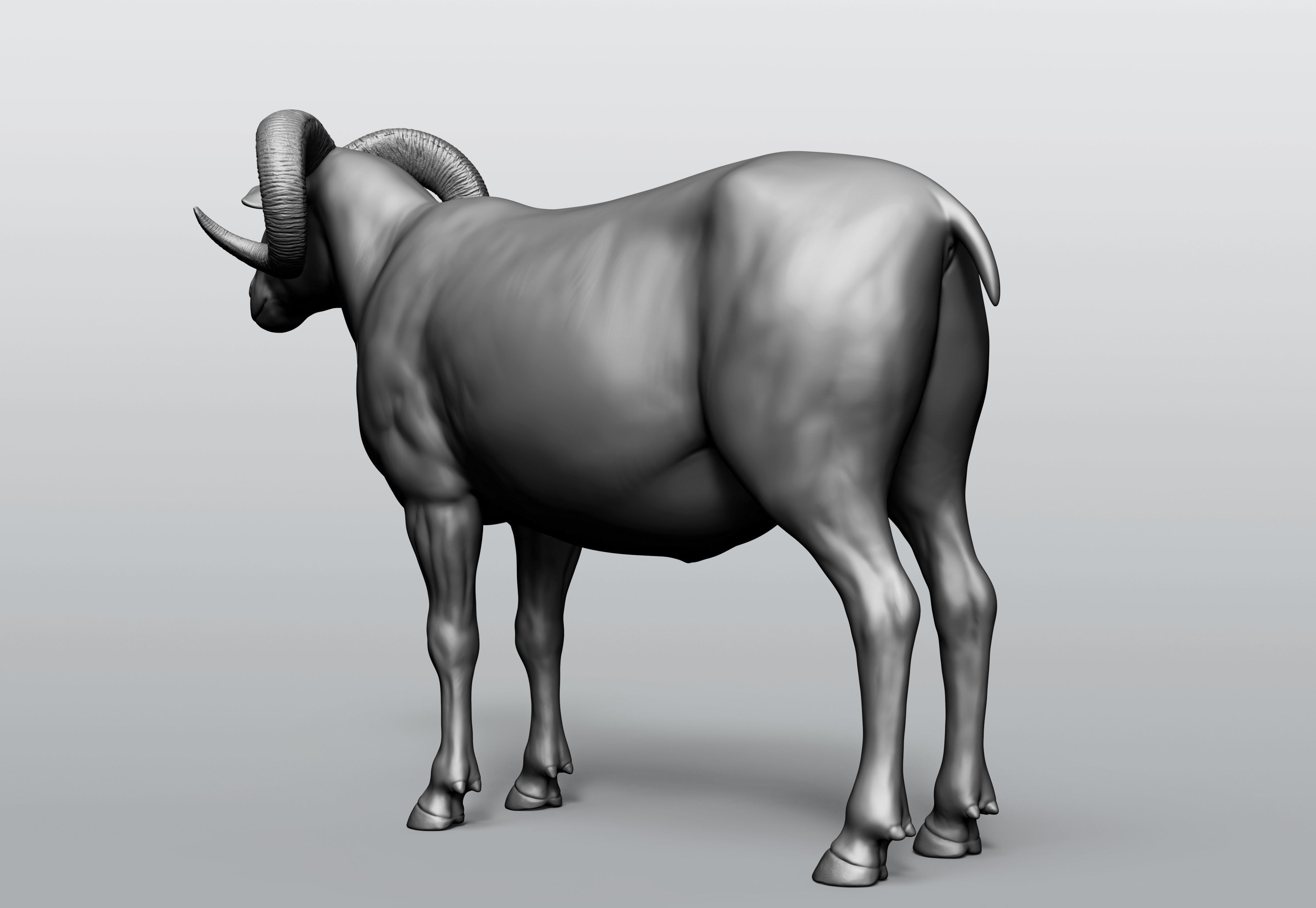 Domestic animal collection 5 animals 3D model_34