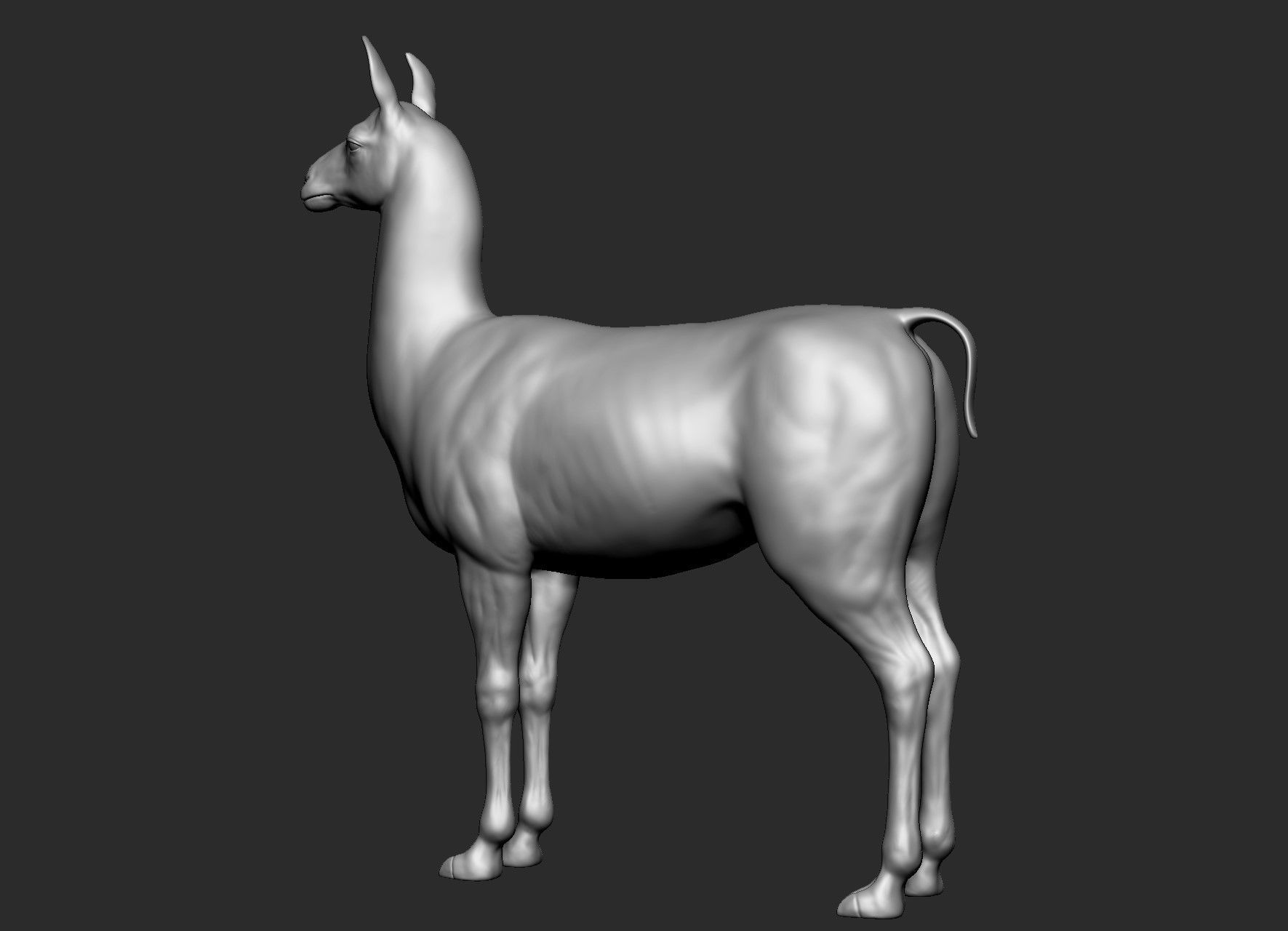 Domestic animal collection 5 animals 3D model_52