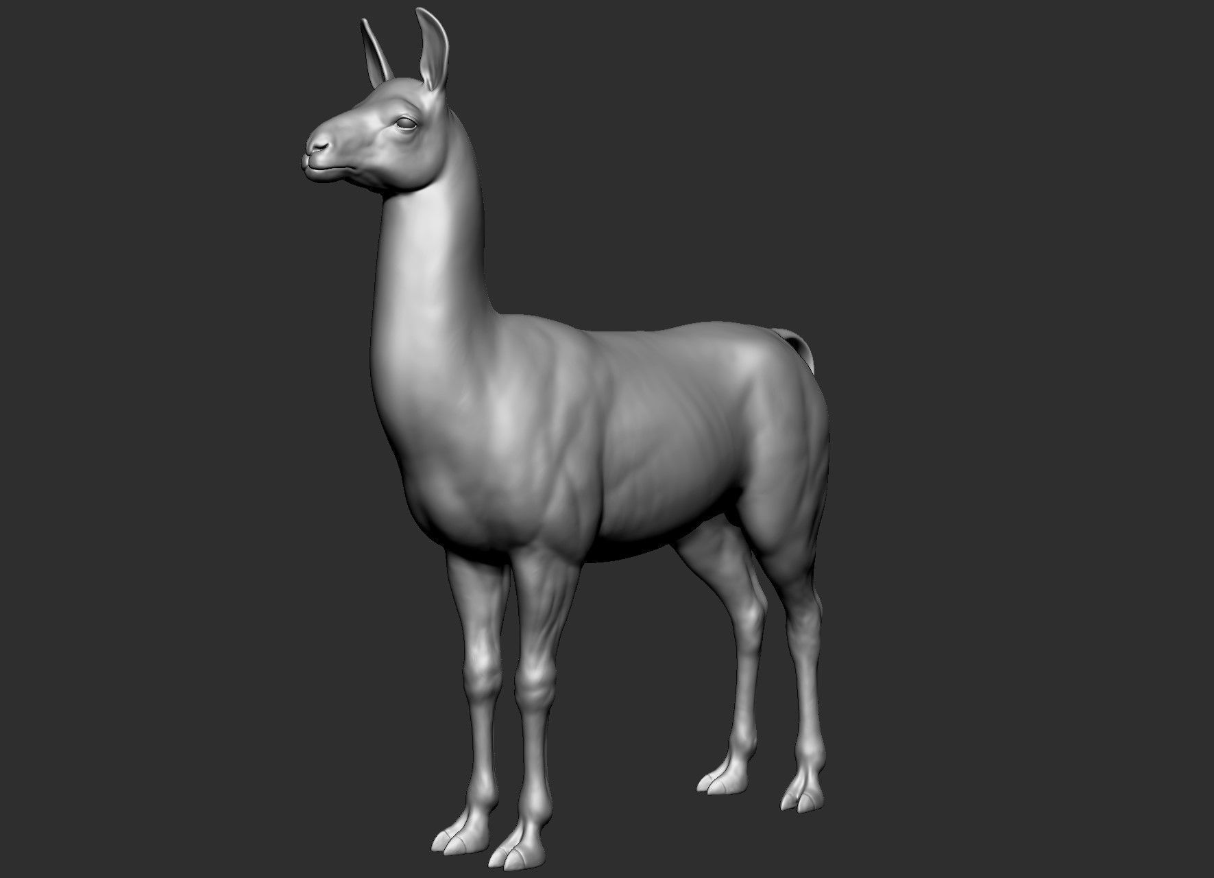 Domestic animal collection 5 animals 3D model_48