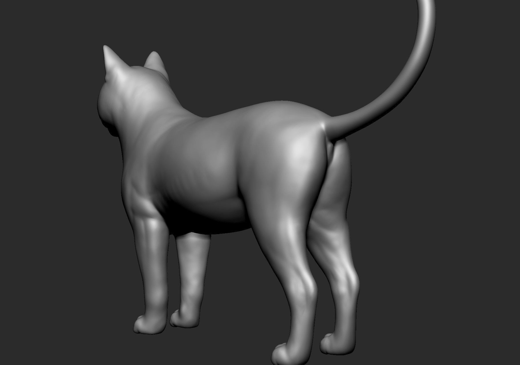 Domestic animal collection 5 animals 3D model_64