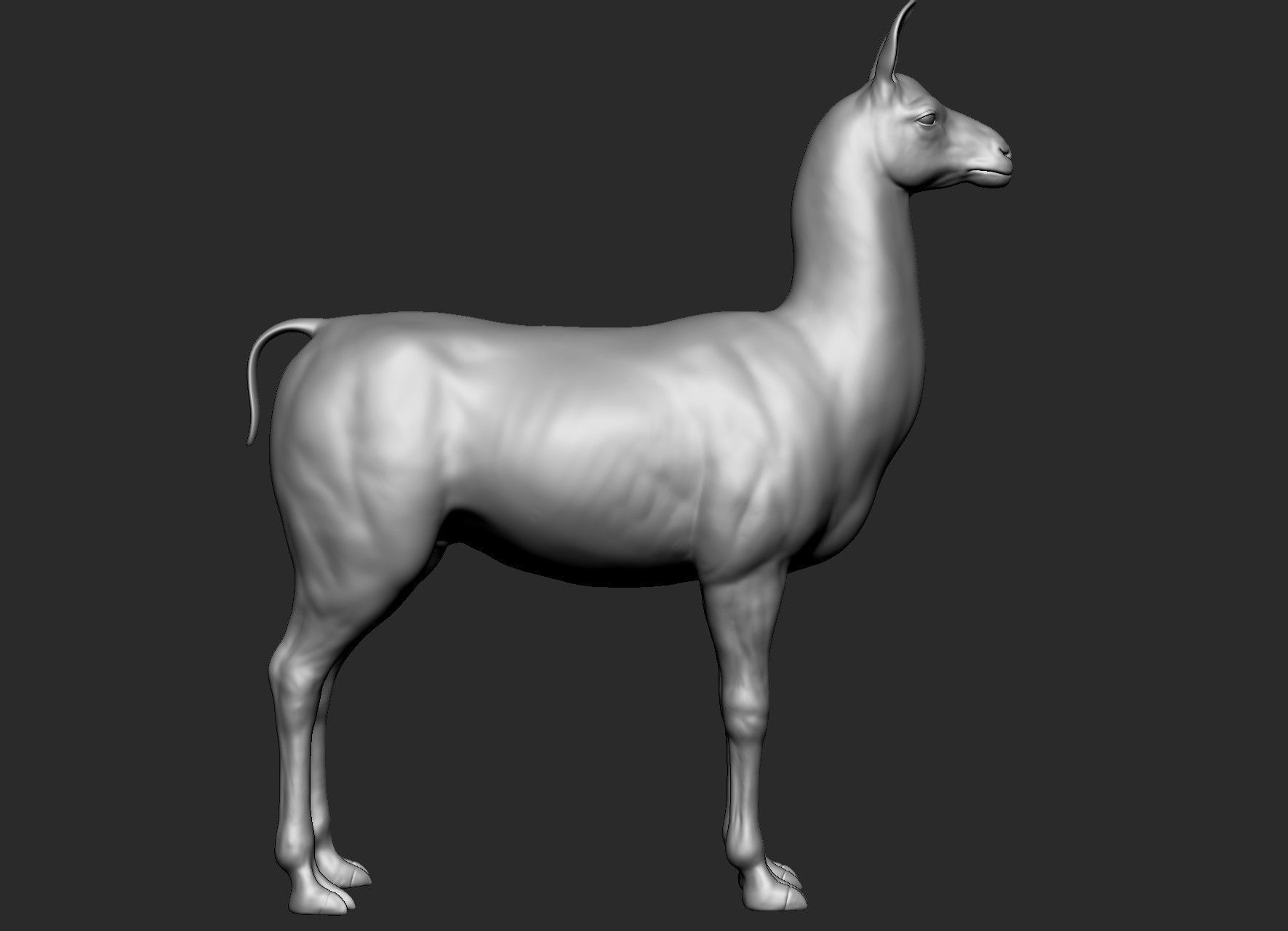 Domestic animal collection 5 animals 3D model_49