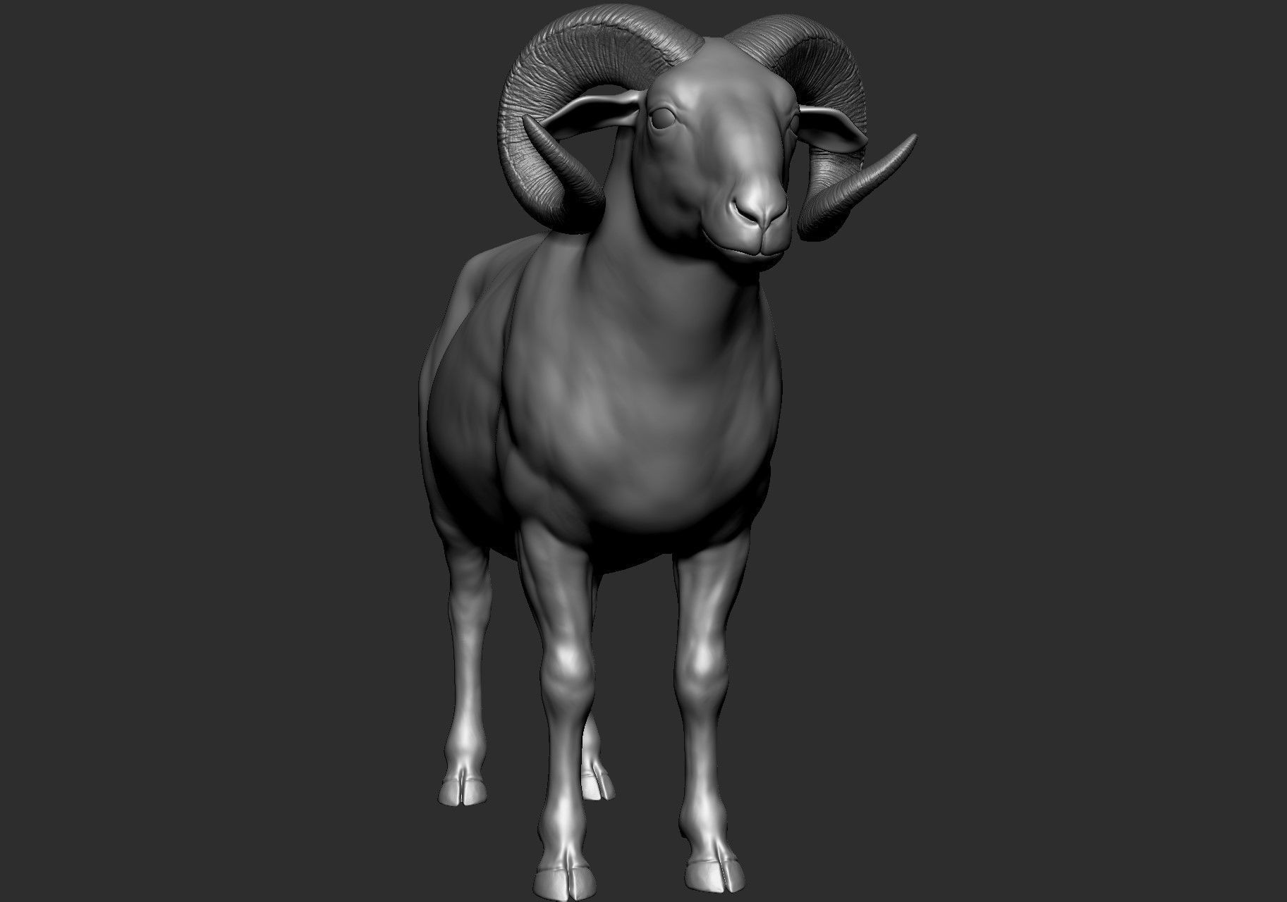 Domestic animal collection 5 animals 3D model_40